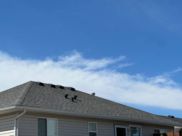 Trusted Bishopville, SC Roofing Service Experts